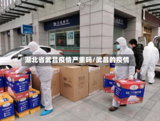 湖北省武昌疫情严重吗/武昌的疫情