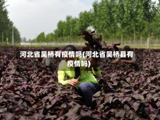 河北省吴桥有疫情吗(河北省吴桥县有疫情吗)