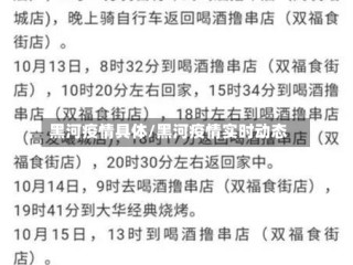 黑河疫情具体/黑河疫情实时动态