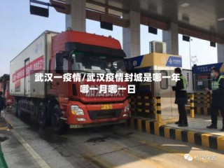 武汉一疫情/武汉疫情封城是哪一年哪一月哪一日