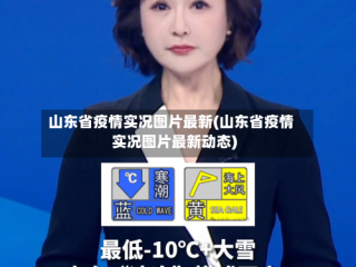 山东省疫情实况图片最新(山东省疫情实况图片最新动态)