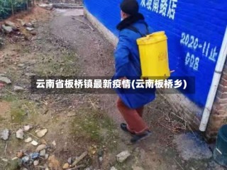 云南省板桥镇最新疫情(云南板桥乡)
