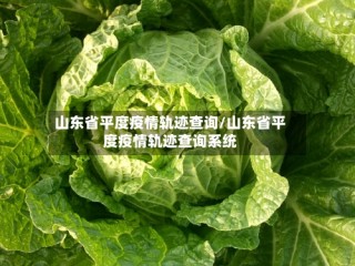 山东省平度疫情轨迹查询/山东省平度疫情轨迹查询系统