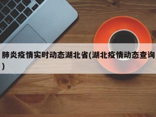 肺炎疫情实时动态湖北省(湖北疫情动态查询)