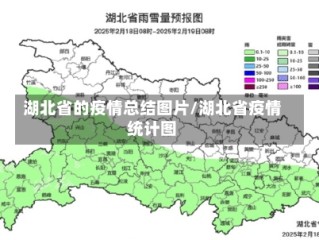 湖北省的疫情总结图片/湖北省疫情统计图