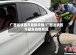广西省靖西市最新疫情/广西省靖西市最新疫情情况