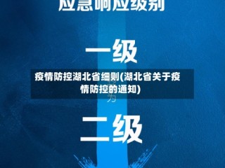 疫情防控湖北省细则(湖北省关于疫情防控的通知)