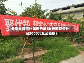 云南省疫情补贴通告最新(云南疫情补贴2000元怎么领取)