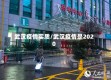 武汉疫情实质/武汉疫情是2020