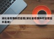湖北省疫情防控巡视(湖北省疫情防控巡视组长是谁)