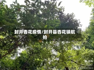 封开杏花疫情/封开县杏花镇航拍