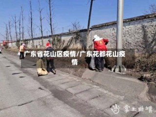 广东省花山区疫情/广东花都花山疫情