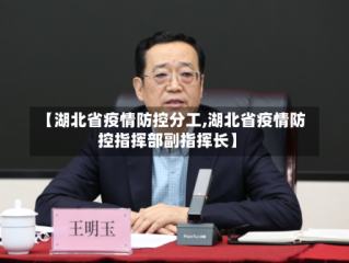 【湖北省疫情防控分工,湖北省疫情防控指挥部副指挥长】