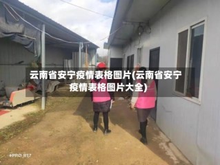 云南省安宁疫情表格图片(云南省安宁疫情表格图片大全)