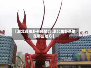 【湖北省龙虾有疫情吗,湖北龙虾基地在哪些地方】