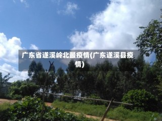 广东省遂溪岭北最疫情(广东遂溪县疫情)