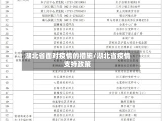 湖北省面对疫情的措施/湖北省疫情支持政策