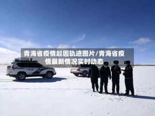 青海省疫情起因轨迹图片/青海省疫情最新情况实时动态