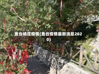 鱼台杨庄疫情(鱼台疫情最新消息2020)