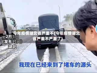 今年疫情湖北省严重不(今年疫情湖北省严重不严重了)
