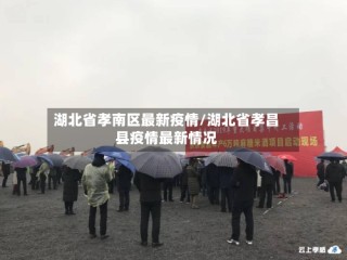 湖北省孝南区最新疫情/湖北省孝昌县疫情最新情况