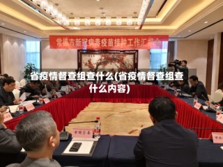 省疫情督查组查什么(省疫情督查组查什么内容)