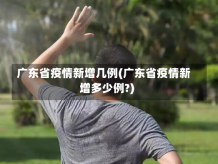 广东省疫情新增几例(广东省疫情新增多少例?)
