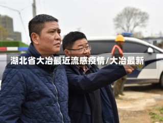 湖北省大冶最近流感疫情/大冶最新