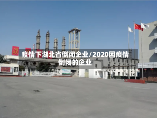 疫情下湖北省倒闭企业/2020因疫情倒闭的企业