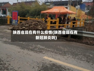 陕西省现在有什么疫情(陕西省现在有新冠肺炎吗)
