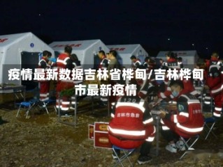 疫情最新数据吉林省桦甸/吉林桦甸市最新疫情