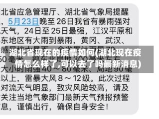湖北省现在的疫情如何(湖北现在疫情怎么样了,可以去了吗最新消息)