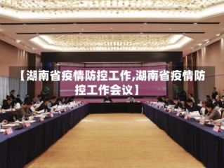 【湖南省疫情防控工作,湖南省疫情防控工作会议】