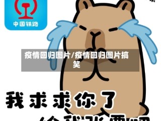 疫情回归图片/疫情回归图片搞笑