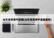 山东省疫情平面图(山东省疫情平面图最新)