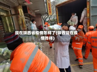 现在陕西省疫情怎样了(陕西现在疫情咋样)