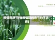 疫情资源节约(疫情期间要节约不浪费)