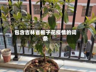 包含吉林省栀子花疫情的词条