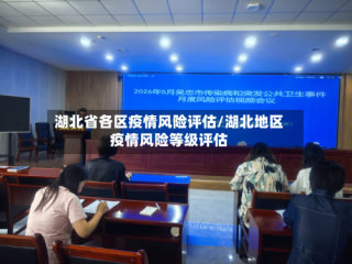 湖北省各区疫情风险评估/湖北地区疫情风险等级评估