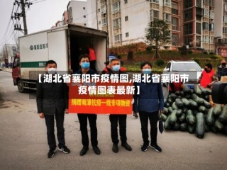【湖北省襄阳市疫情图,湖北省襄阳市疫情图表最新】