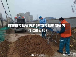河南省疫情省内游(河南疫情期间省内可以通行吗)