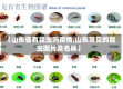 【山东省有昆虫吗疫情,山东常见的昆虫图片及名称】