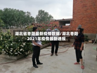 湖北省枣阳最新疫情数据/湖北枣阳2021年疫情最新通报