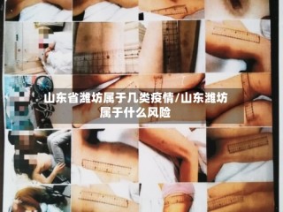 山东省潍坊属于几类疫情/山东潍坊属于什么风险