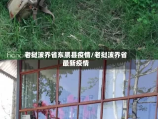 老挝波乔省东鹏县疫情/老挝波乔省最新疫情