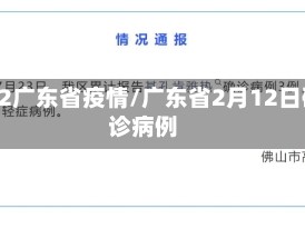 2月2广东省疫情/广东省2月12日确诊病例