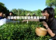 马坡疫情(马坡镇有哪些村庄)