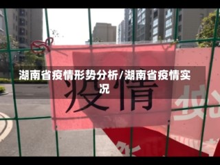 湖南省疫情形势分析/湖南省疫情实况
