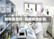 朝鲜疫情样/朝鲜疫情形势