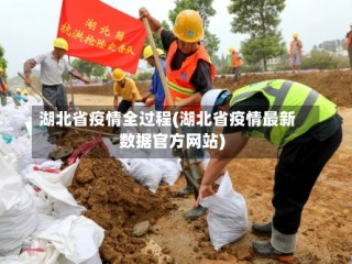 湖北省疫情全过程(湖北省疫情最新数据官方网站)